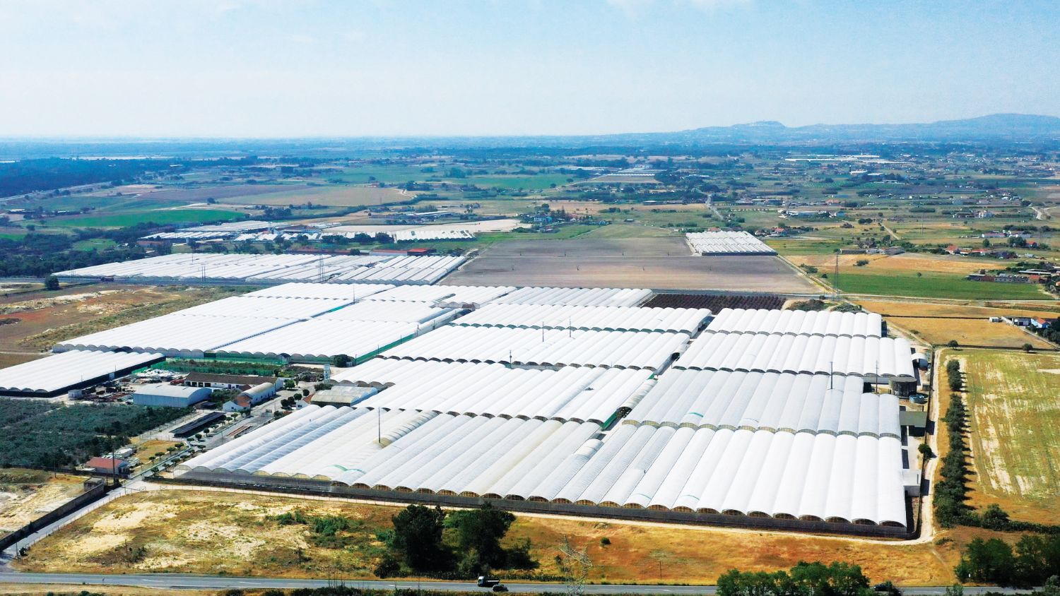 Ateneu dos Produtores: Florisul – Revista Jardins