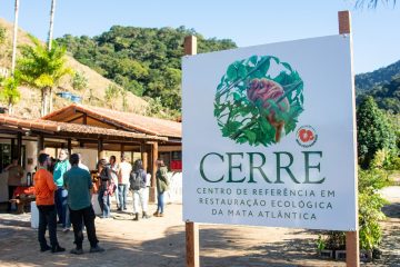 Novo núcleo no RJ vira marco para restauração da Mata Atlântica