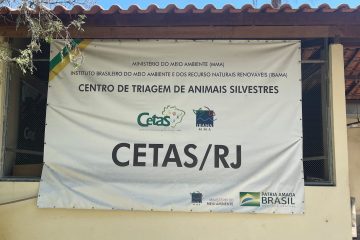 Tuberculose mata três macacos no Cetas-RJ; meio está em quarentena