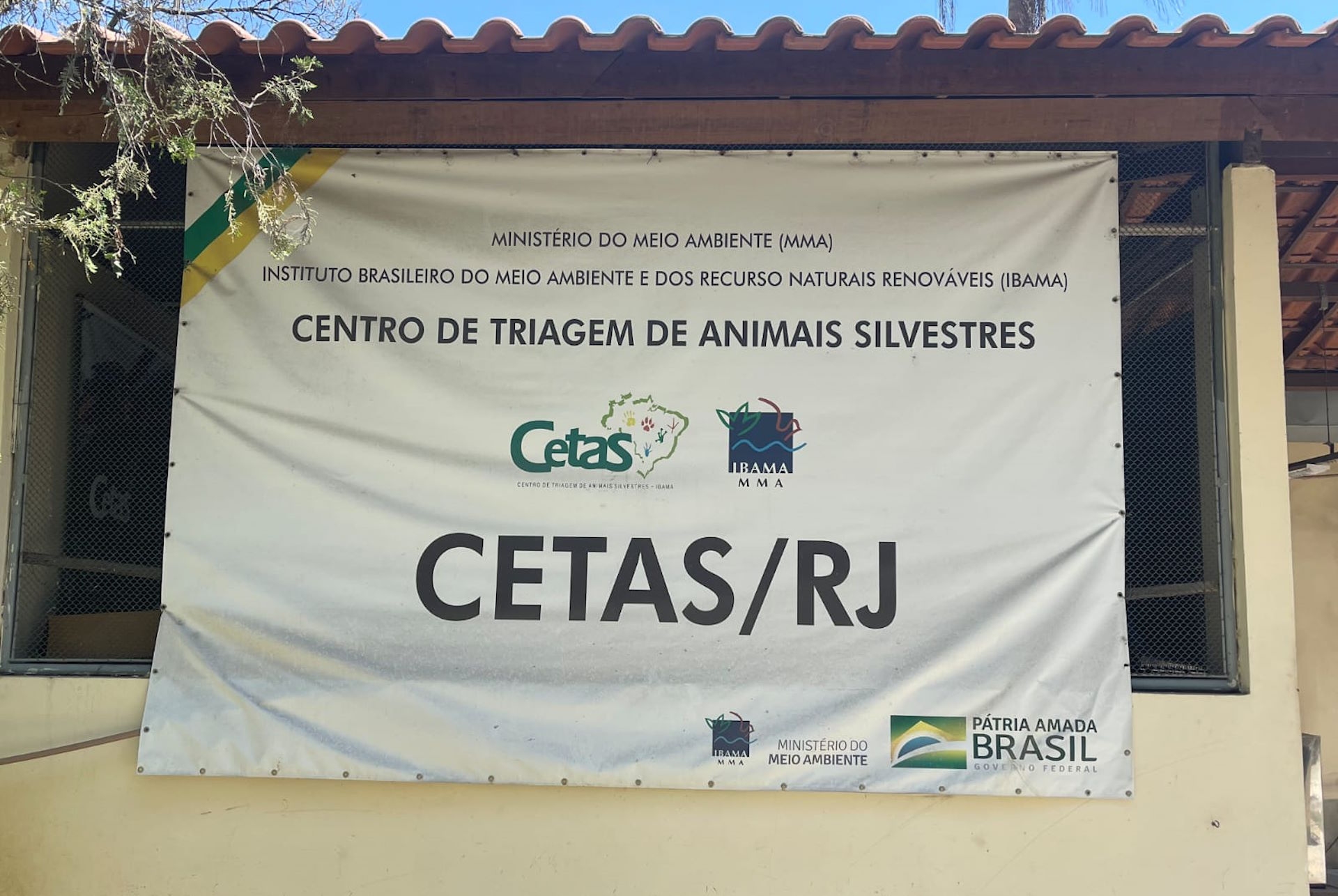 Tuberculose mata três macacos no Cetas-RJ; meio está em quarentena