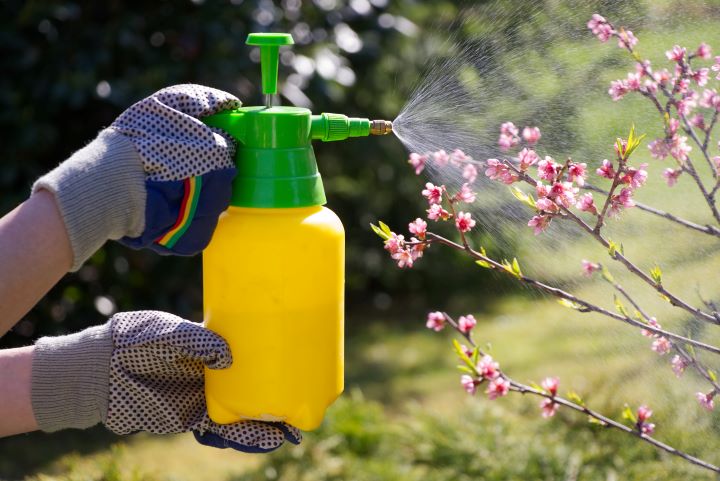 O uso sustentável de produtos fitofarmacêuticos II