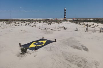 Campanha premiada em Cannes coloca conservação marinha brasileira em evidência