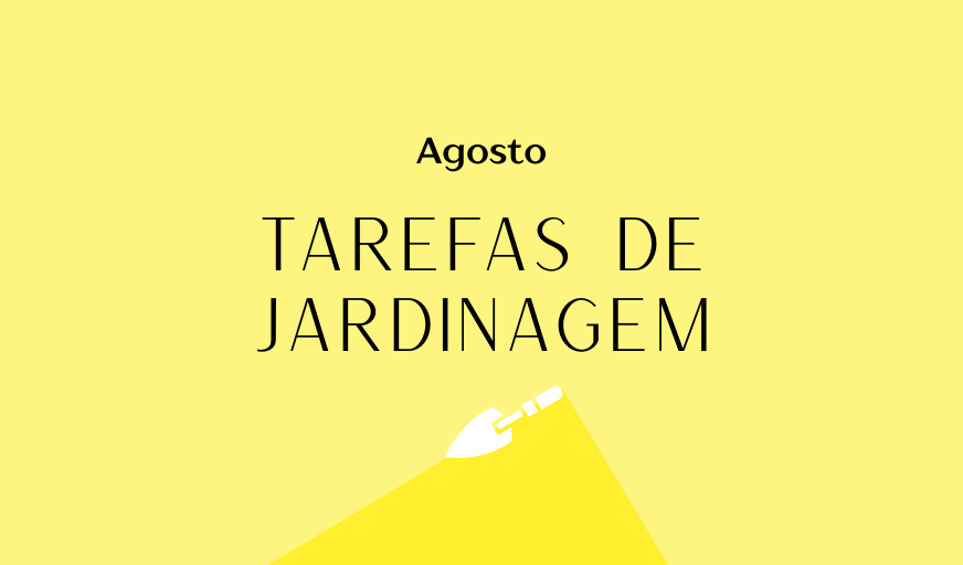 Tarefas de jardinagem: Agosto – Revista Jardins