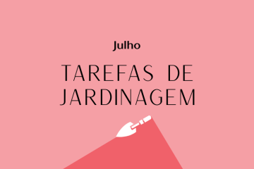 Tarefas de jardinagem: Julho – Revista Jardins