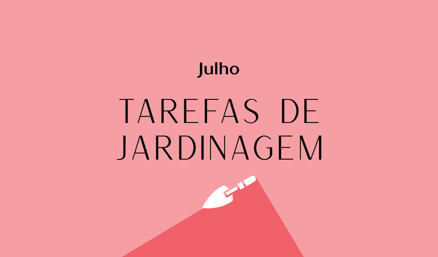 Tarefas de jardinagem: Julho – Revista Jardins
