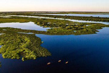 Pantanal brasílio perdeu murado de 80% da chuva superficial em 40 anos, aponta pesquisa