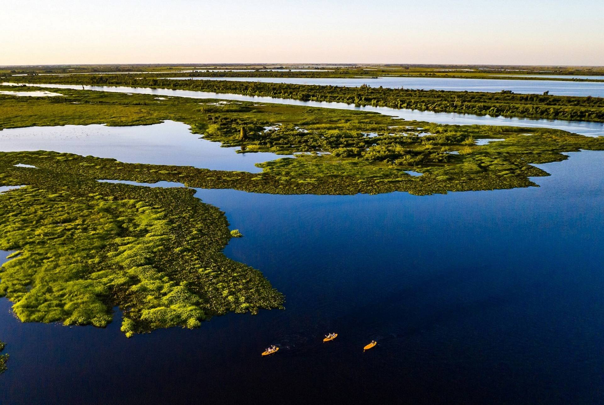 Pantanal brasílio perdeu murado de 80% da chuva superficial em 40 anos, aponta pesquisa