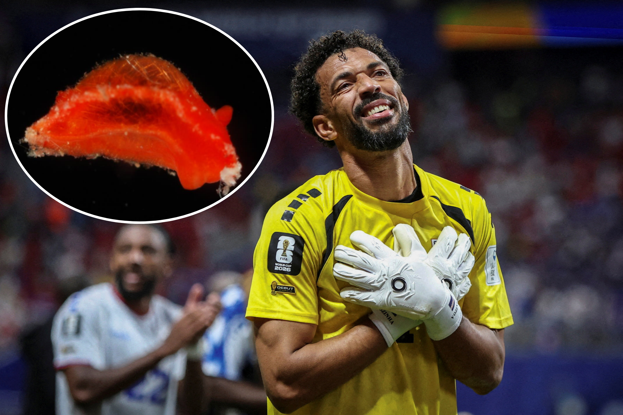Goleiro de Cabo Verdejante é homenageado com novidade espécie marinha