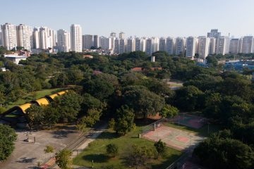 Depois do desmonte, reconstruir a governança ambiental paulista