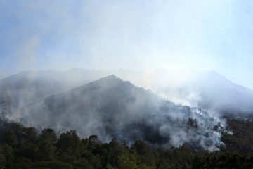 Incêndios florestais elevam emissões a níveis incomuns em várias partes do mundo