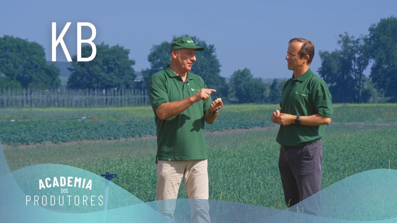 Ateneu dos Produtores: KB – Revista Jardins