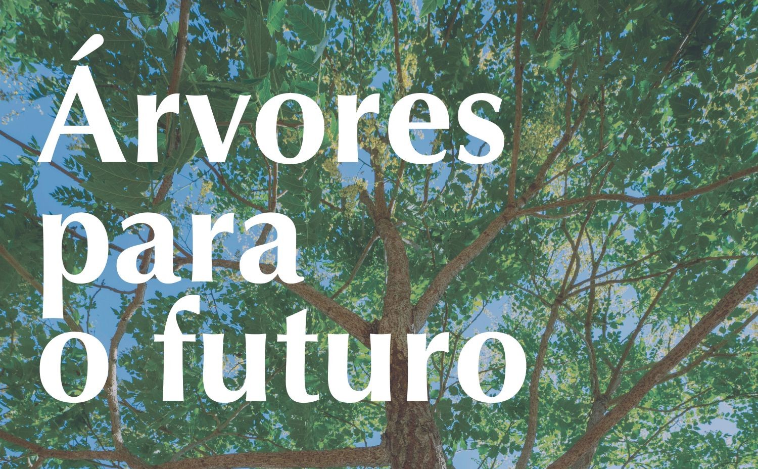 Árvores para porvir: Seleção, projeto e manutenção de árvores em contexto urbano