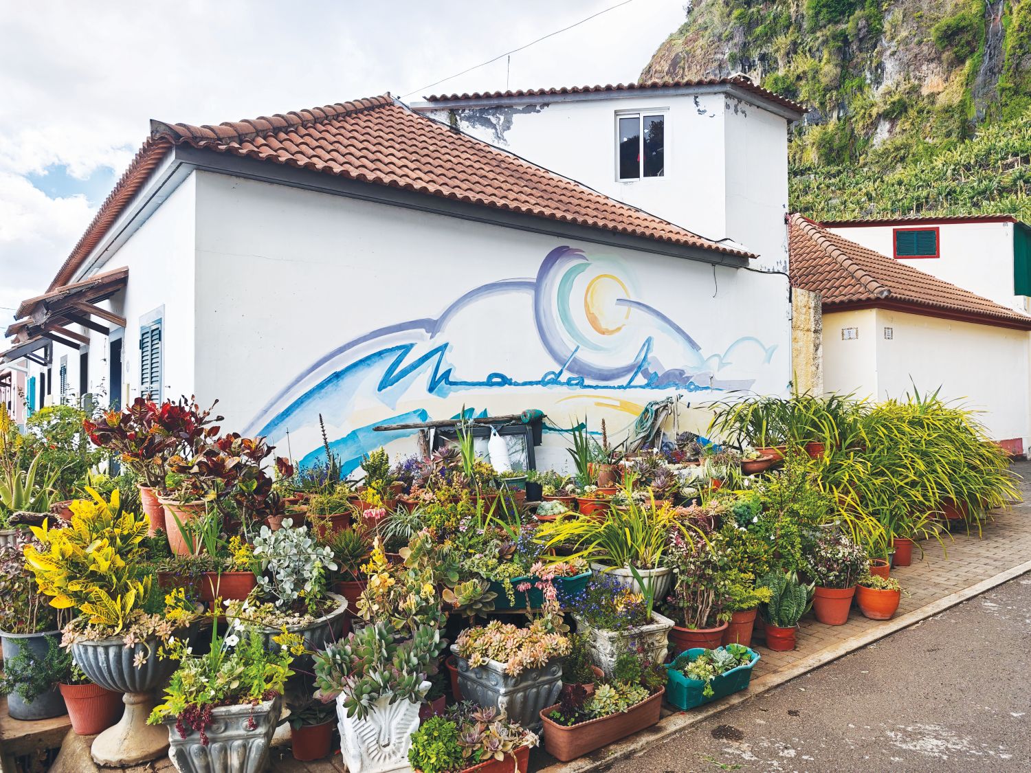 As flores do Bairro dos Pescadores