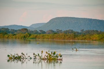 Tentativa de anular ampliação da Estação Ecológica de Taiamã é inconstitucional, diz MPF