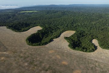 Desmatamento na Amazônia chega ao menor patamar desde 2013
