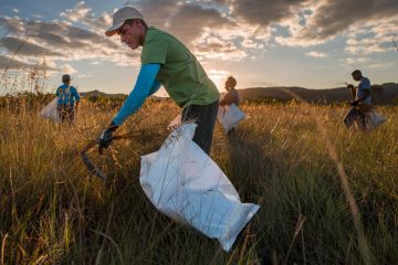 ONU reconhece iniciativa brasileira de restauração de 2 milhões de hectares do Condensado