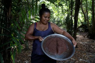 Entre a saturação e a escassez, o numerário não compra o que a floresta deixou de produzir