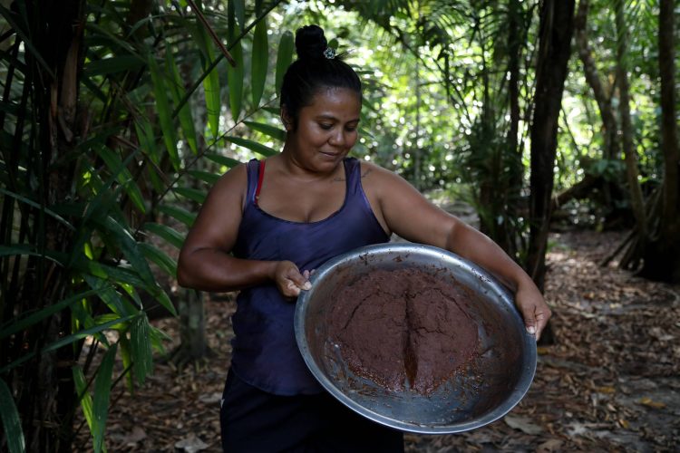 Entre a saturação e a escassez, o numerário não compra o que a floresta deixou de produzir