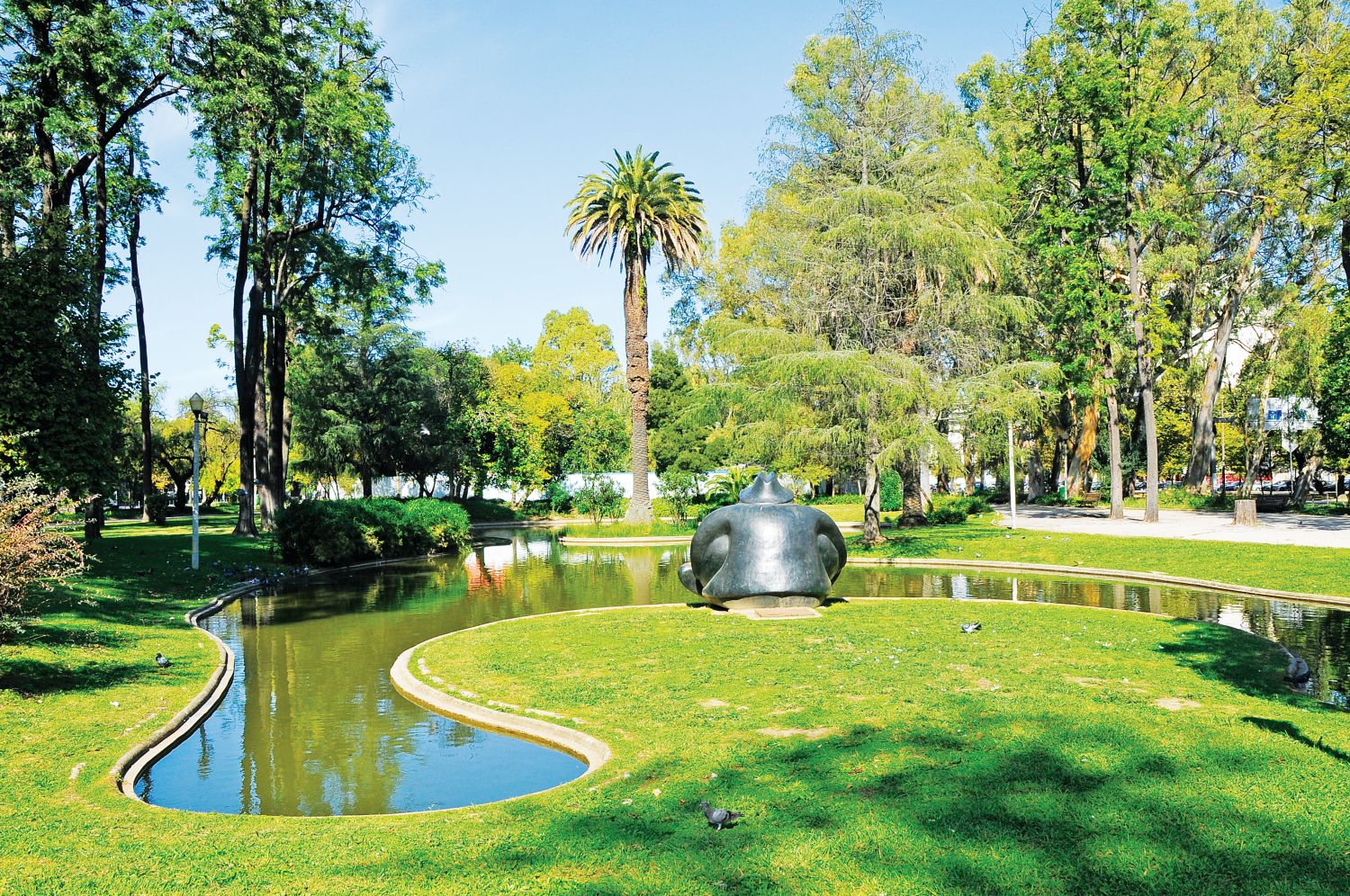 Árvores resilientes nos jardins de Lisboa