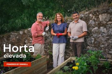 Uma vez que fabricar uma quintal elevada
