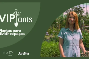 Compartimentação: Vegetação para dividir espaços