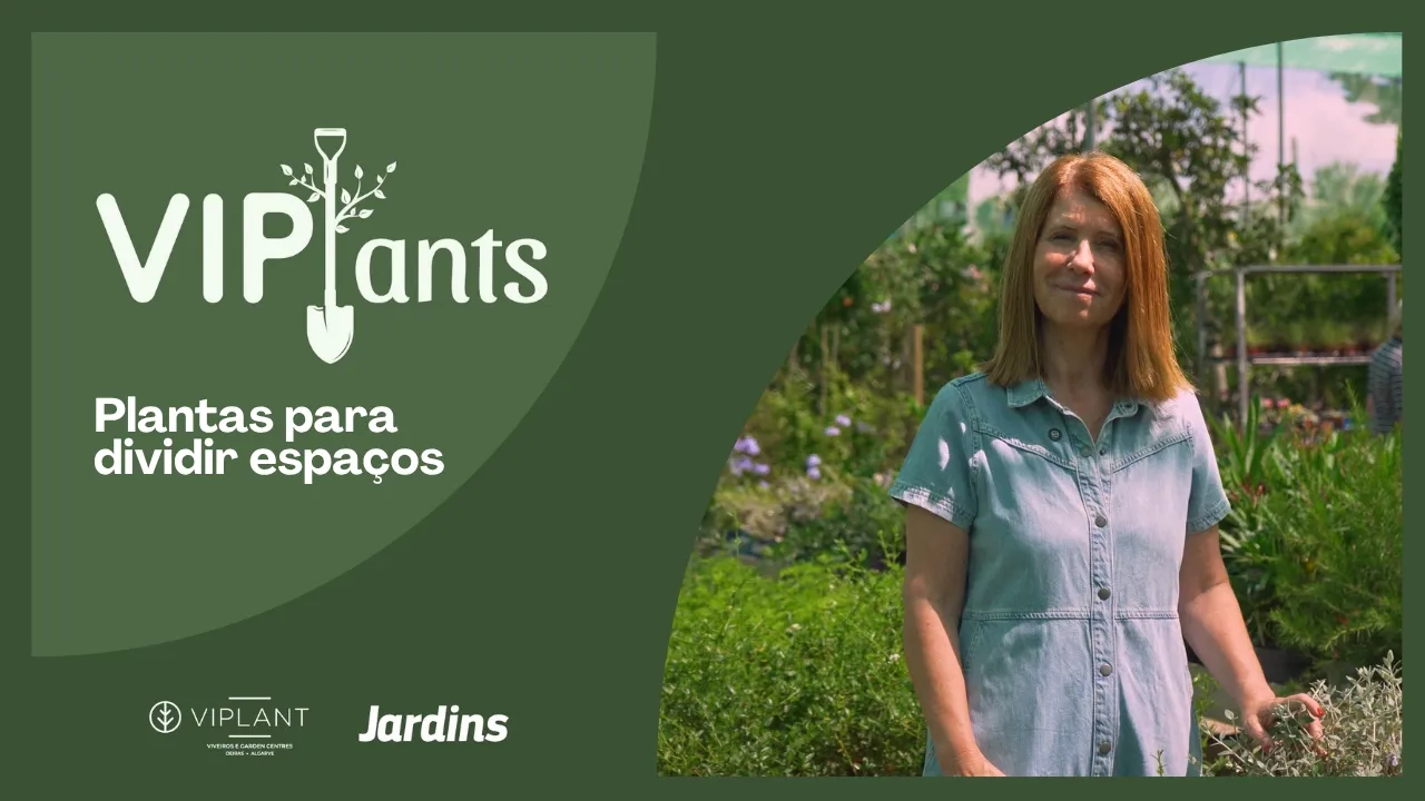 Compartimentação: Vegetação para dividir espaços