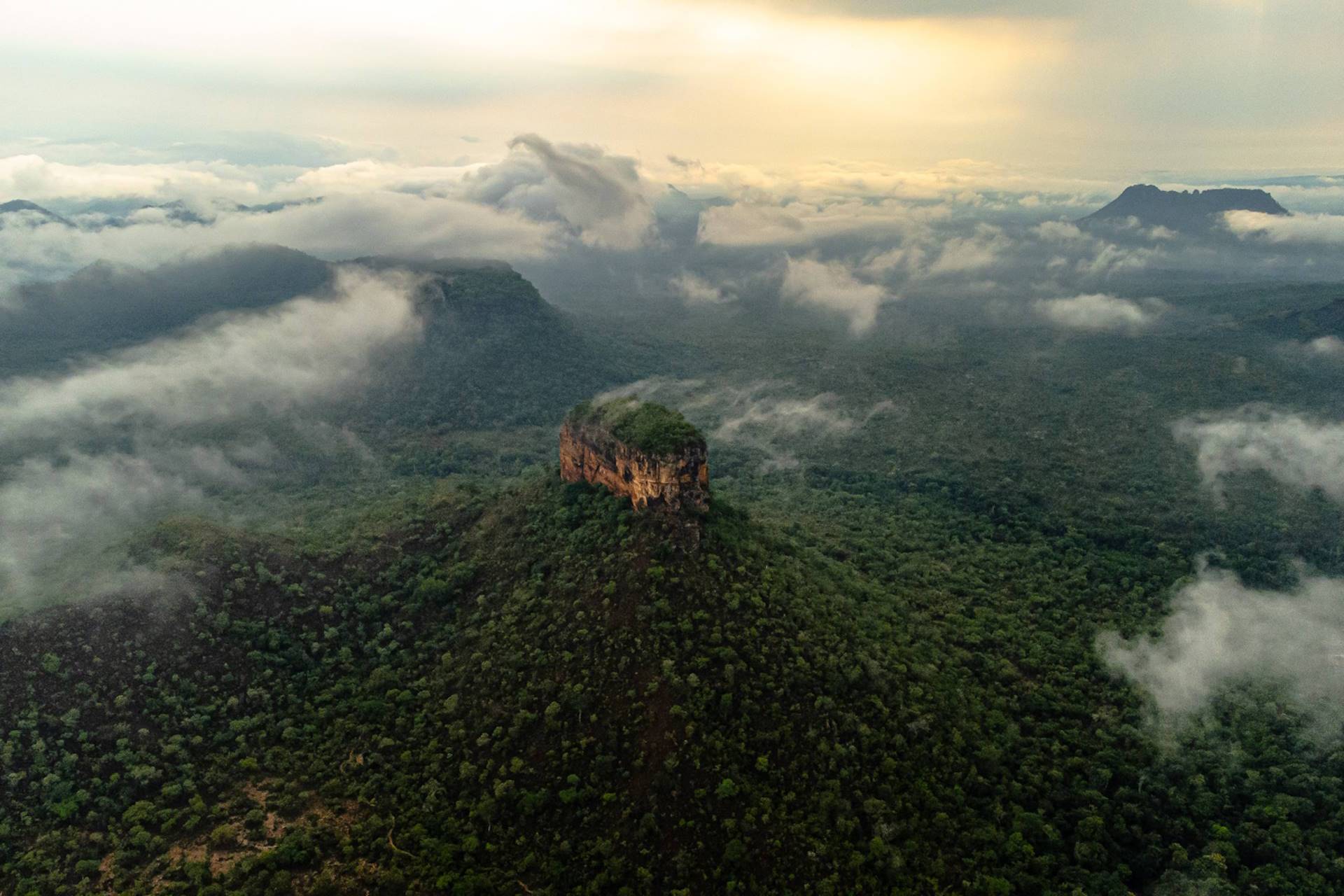 Muito além das árvores tortas: conheça a variação do Denso em fotos