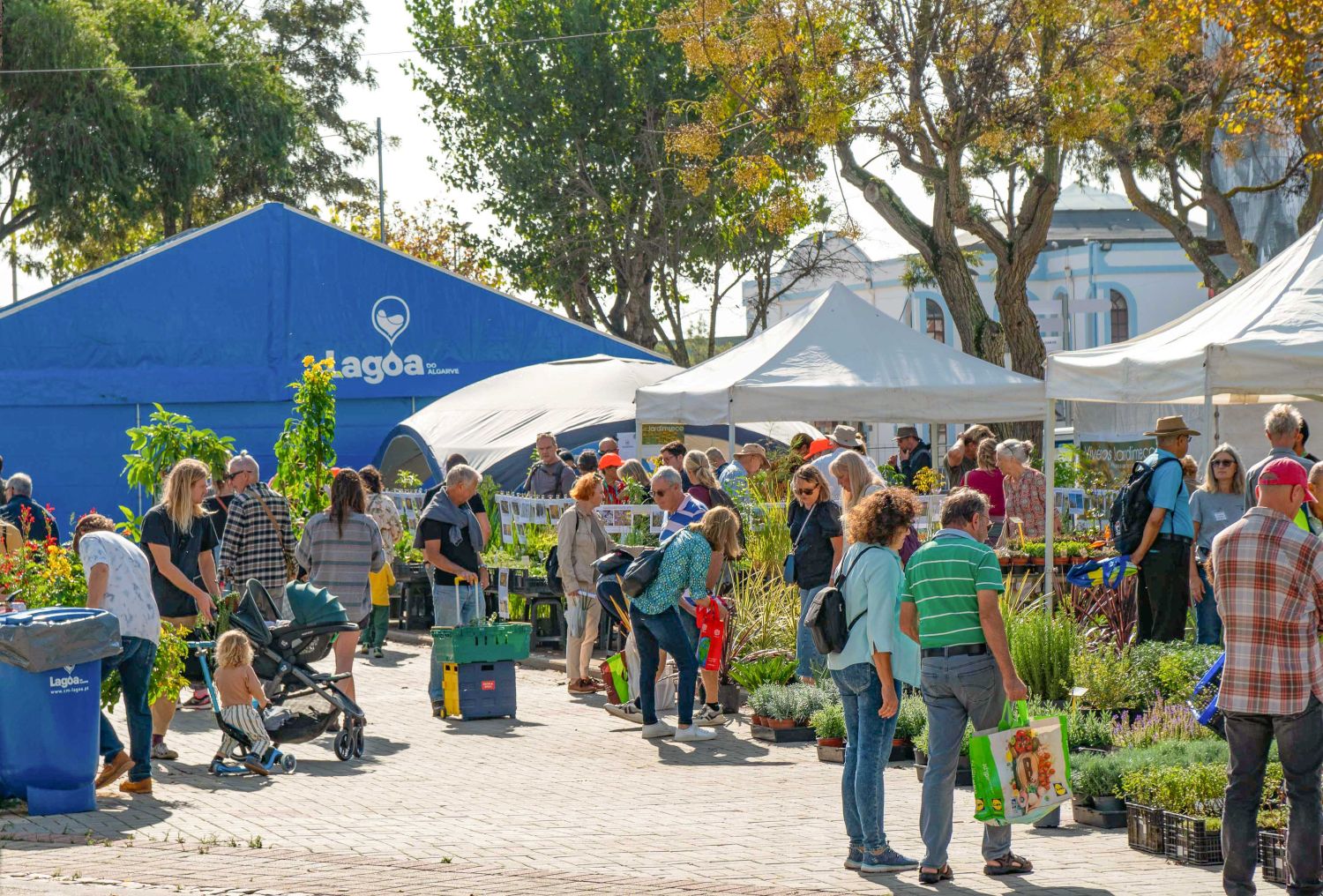 Feira de jardinagem mediterrânica – Revista Jardins