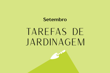 Tarefas de jardinagem: Setembro – Revista Jardins