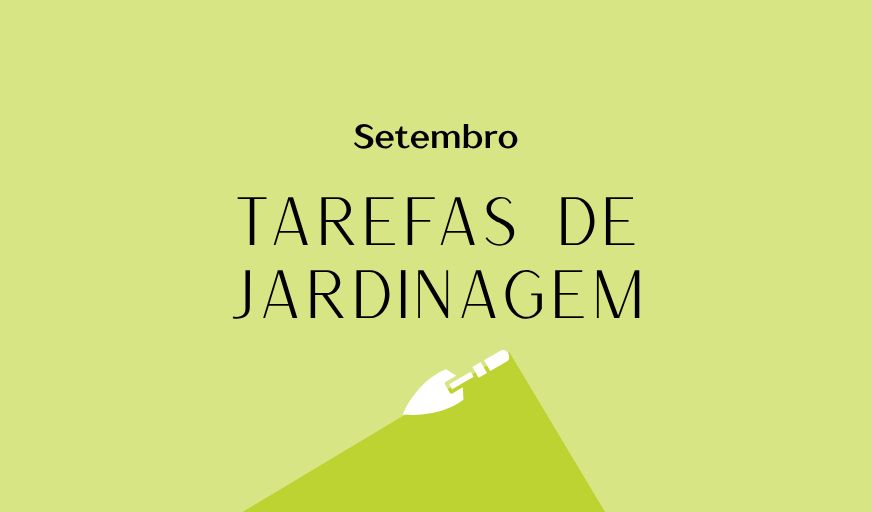 Tarefas de jardinagem: Setembro – Revista Jardins