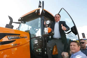 A vocábulo que derruba a floresta