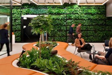 Neuroarquitetura: a ciência do bem-estar
