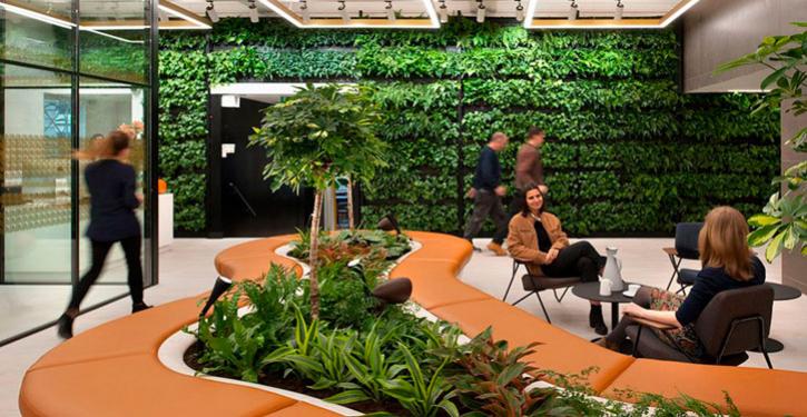 Neuroarquitetura: a ciência do bem-estar