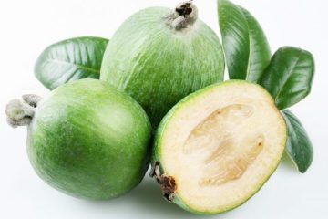 fruteira resistente para qualquer jardim