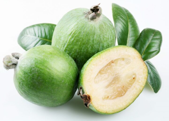 fruteira resistente para qualquer jardim
