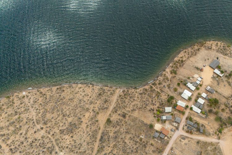 Selado perdeu quase 14 milhões de hectares de vegetação nas margens de rios desde 1985