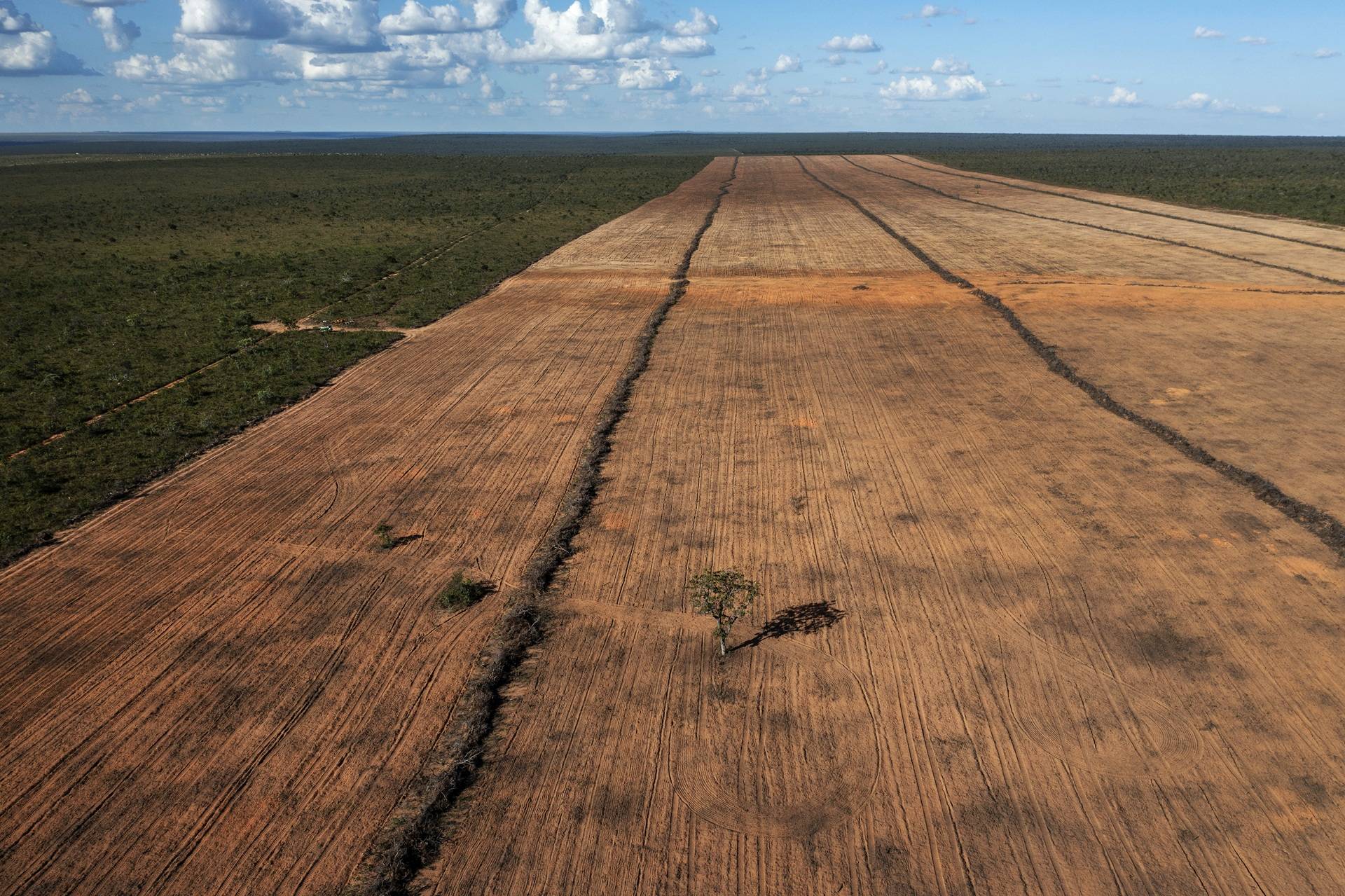 Futuros governadores têm duelo de restabelecer o Ocluso, rudimento das águas 