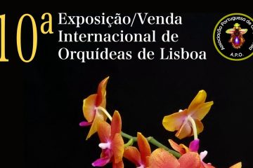 Orquídeas de todo o mundo em Lisboa