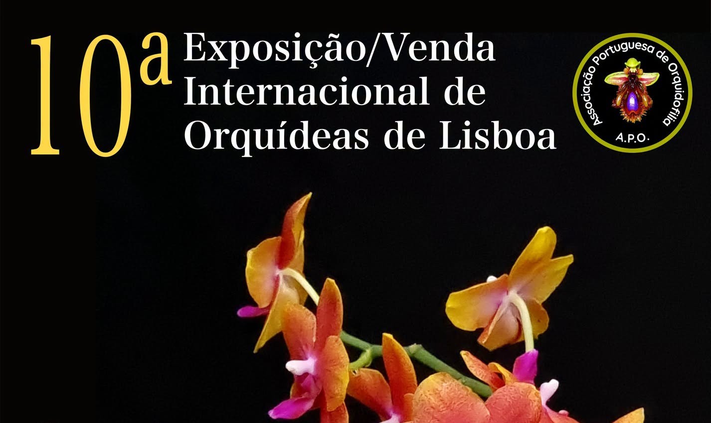 Orquídeas de todo o mundo em Lisboa
