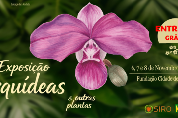 Orquídeas e outras raridades no Campo Grande
