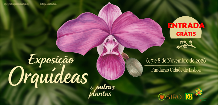 Orquídeas e outras raridades no Campo Grande