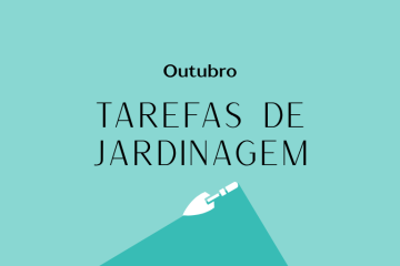 Tarefas de jardinagem: Outubro – Revista Jardins