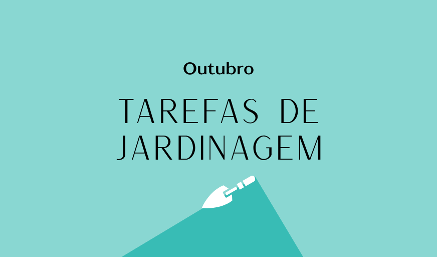 Tarefas de jardinagem: Outubro – Revista Jardins