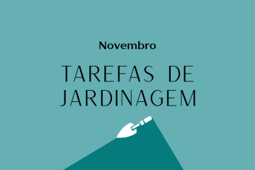 Tarefas de jardinagem: novembro – Revista Jardins